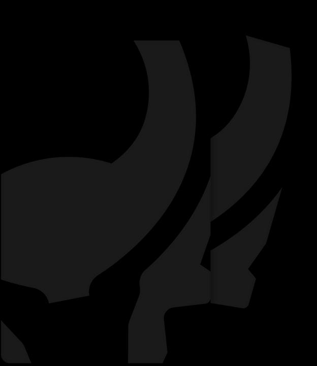 Actual product image Cryptotag Loki Cover - Stealth