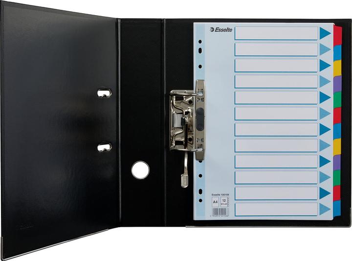 Actual product image Esselte Indice cardboard blank with reinforced tabs