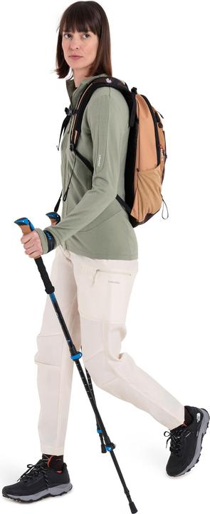 Actual product image Icebreaker Women's Merino 260 Quantum IV L/S Zip Hoodie (L)
