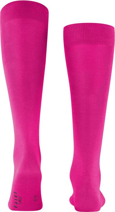 Actual product image Falke Tiago (Single pack, 41 - 42)