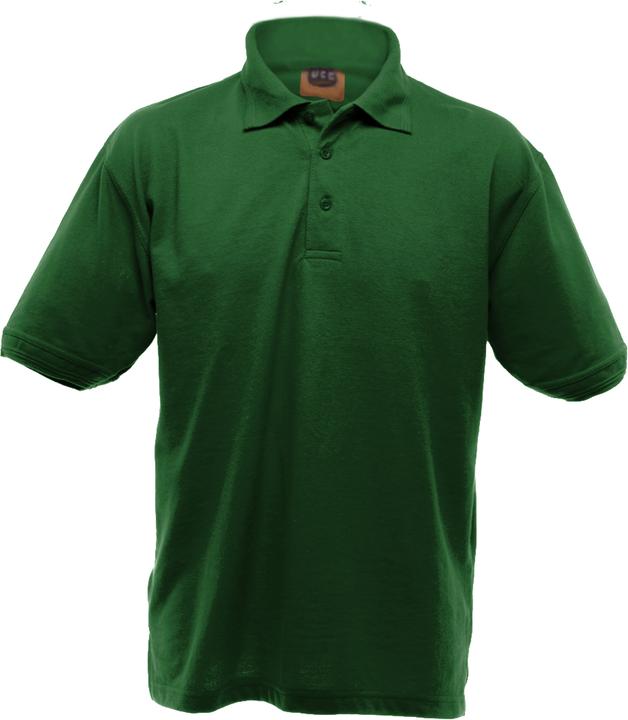 verde bottiglia