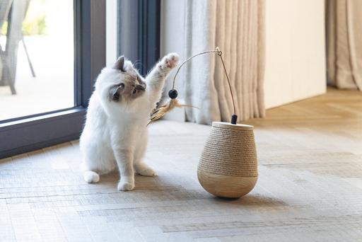 Actual product image Designed by Lotte Tumble Mae (Catmint toy)