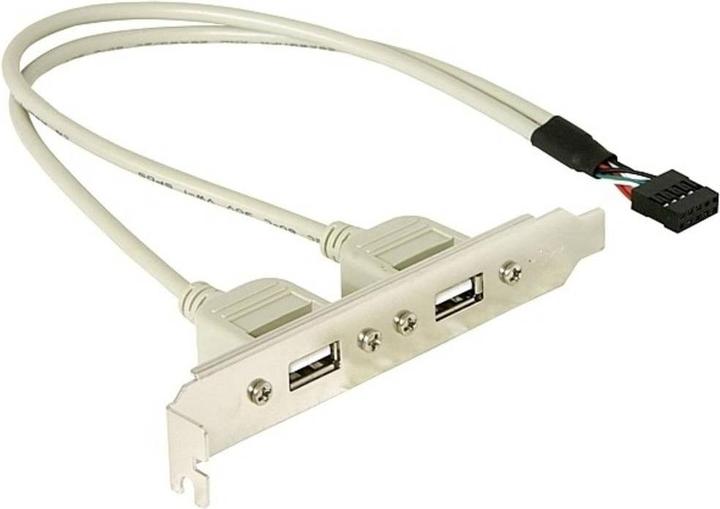 Produktbild Delock Slotblech 2x USB 2.0 zu 10 Pin Header (0.30 m, USB 2.0)