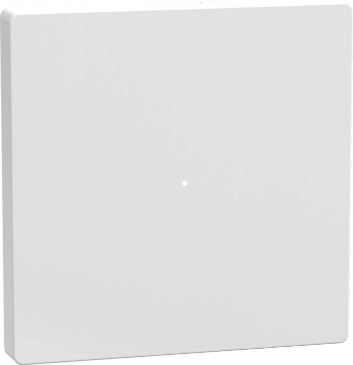 Immagine prodotto Merten Bilanciere per modulo a pulsantiera da 1 canale, bianco loto, MEG5210-6035