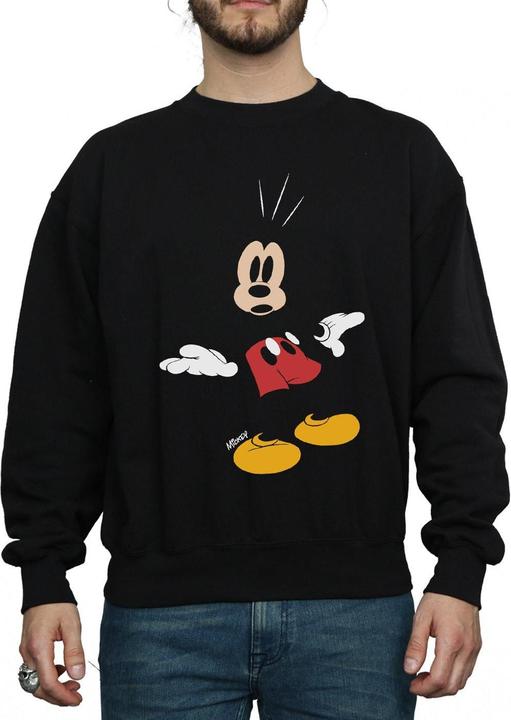Produktbild Disney Sweatshirt (XXL)