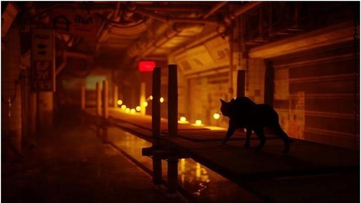 Actual product image BlueTwelve Studio Stray (PS4, DE)
