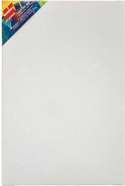 Actual product image Honsell art products Stretcher frame Cotton 300 rectangular white 40,0 x 60,0 cm (40 x 60 cm)