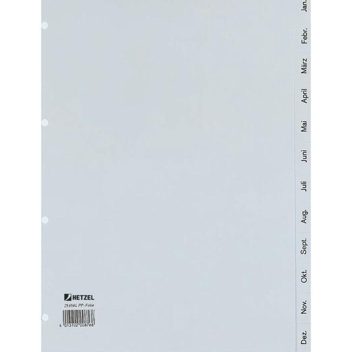 Produktbild Rexel Kunststoff-Register