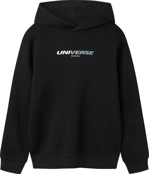 Lmtd Langarm Hoodie (134)