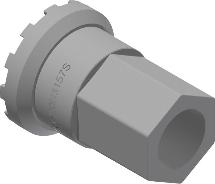 DT Swiss Ring Groove Ratchet EXP OS