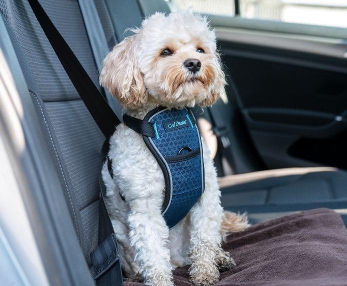 Produktbild Company of Animals CarSafe Autogeschirr Crash-getestet (Hund, Reflektoren, Faltbar)