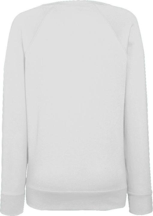 Actual product image Fruit of the Loom Raglan sweatshirt (XXL)