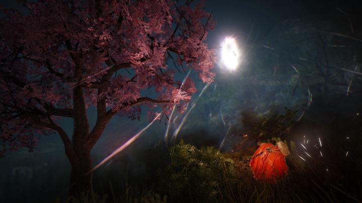 Actual product image Pearl Abyss Black Desert: Prestige Edition (PS4, DE)