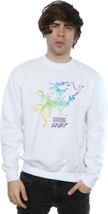 Produktbild Disney Mulan Movie Phoenix Guiding Spirit Sweatshirt (L)