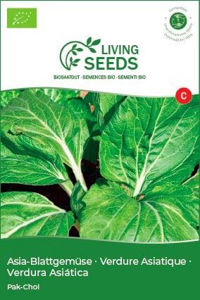 Actual product image Living Seeds Verdure Asiatique Pak-Choi (Vegetable seeds)