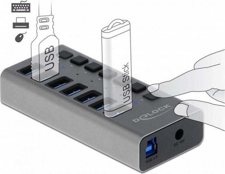 Immagine prodotto Delock 63669 (USB-A, 7 Porti)