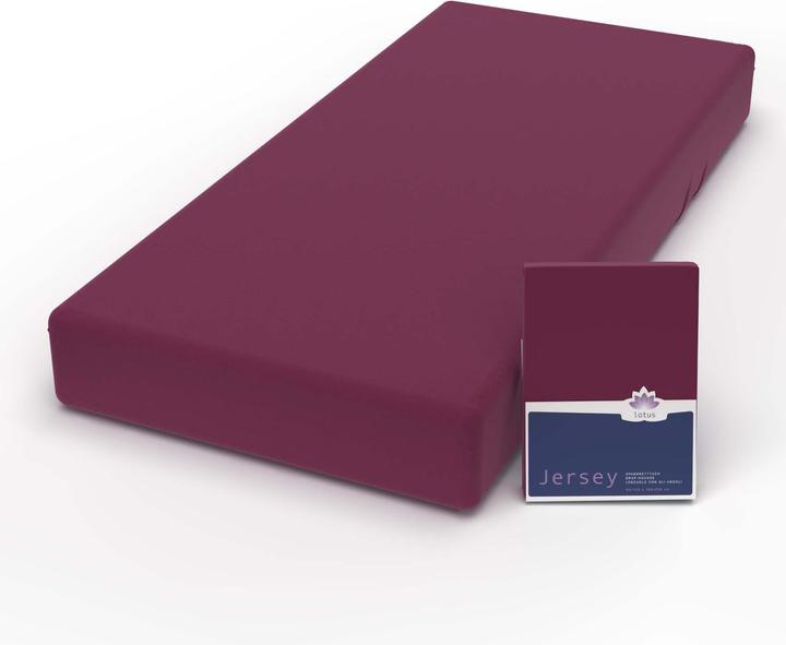 Image du produit Lotus Bettwaren Jersey Fix Comfort (100 x 200 cm, 90 x 190 cm, 90 x 200 cm)