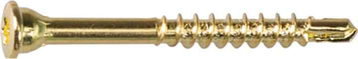 Actual product image Profix Skirting screws (500 Screws per piece)