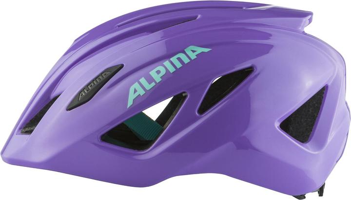 Actual product image ALPINA SPORTS Pico (50 - 55 cm)