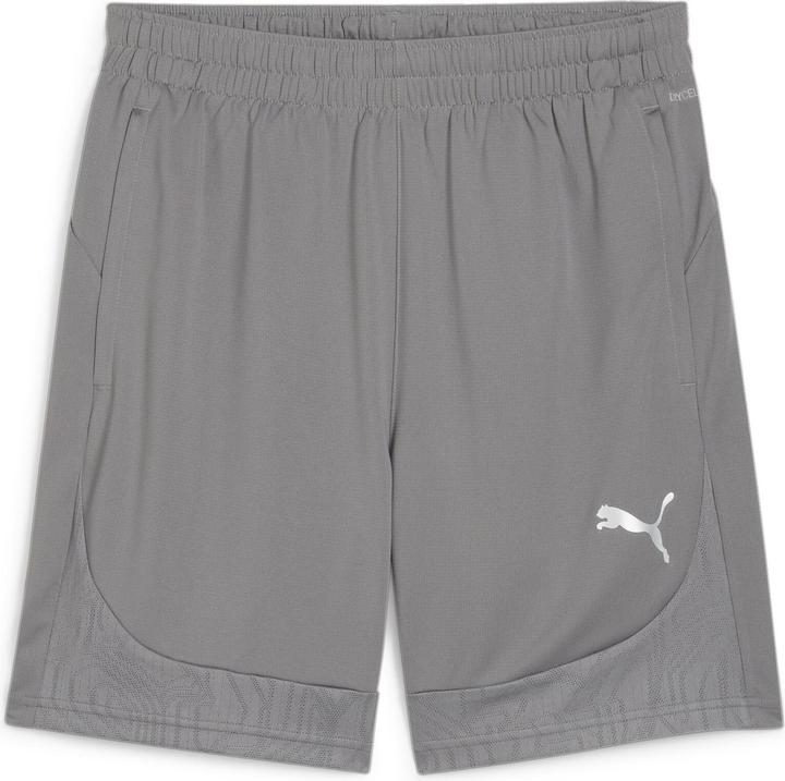Puma teamFINAL Training Shorts
