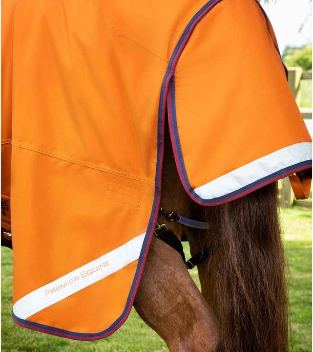 Actual product image Premier Equine Buster Combo 200g (152 cm)