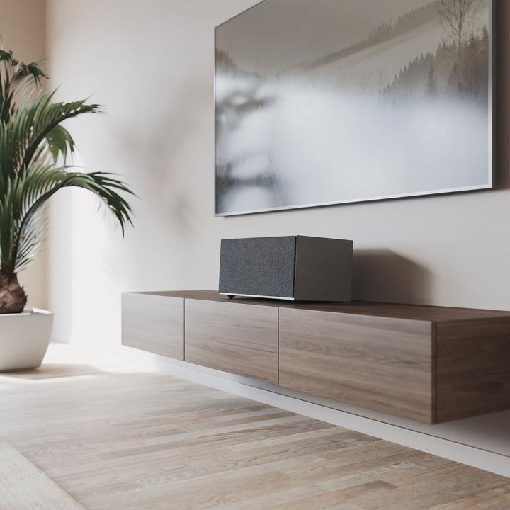 Image du produit Audio Pro C20 Enceinte multi-pièces (Fréquence radio (RF), Airplay 2, Bluetooth, WiFi)