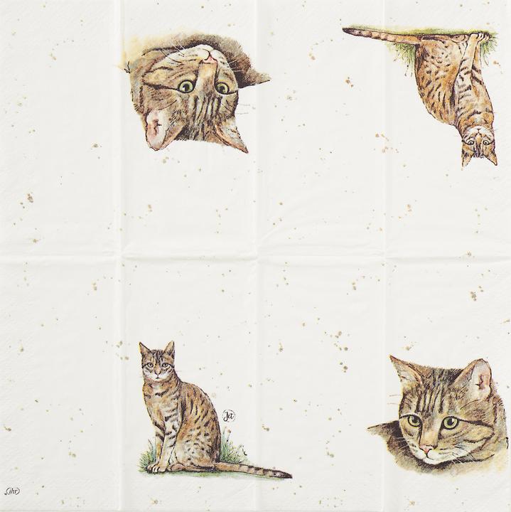Produktbild IHR Taschentuch Farmfriends Cat