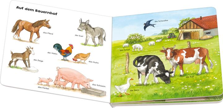 Actual product image Ravensburger Mein allererstes Tierlexikon (German, Ana Weller, 2024)