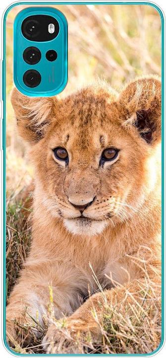 Lions baby