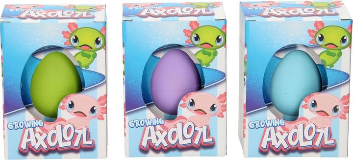 Roost Ei mit wachsendem Axolotl