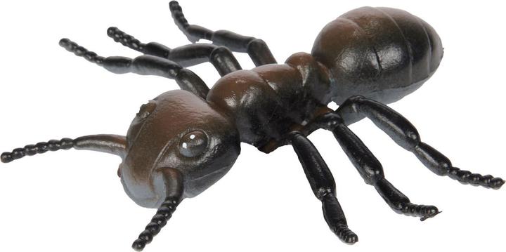 Actual product image Toi-Toys Animal world, big, creepy insect
