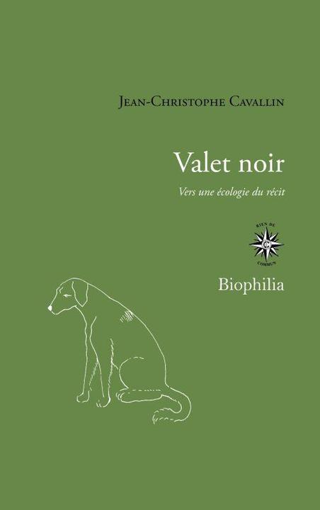 Image du produit Valet noir : vers une écologie du récit (Français, Cavallin Jean-Christophe, 2021)