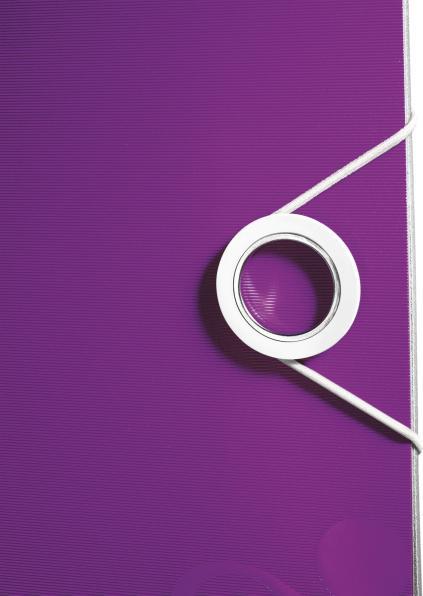 Image du produit Leitz WOW 180° Active (A4, 65 mm, 1 pièce(s))