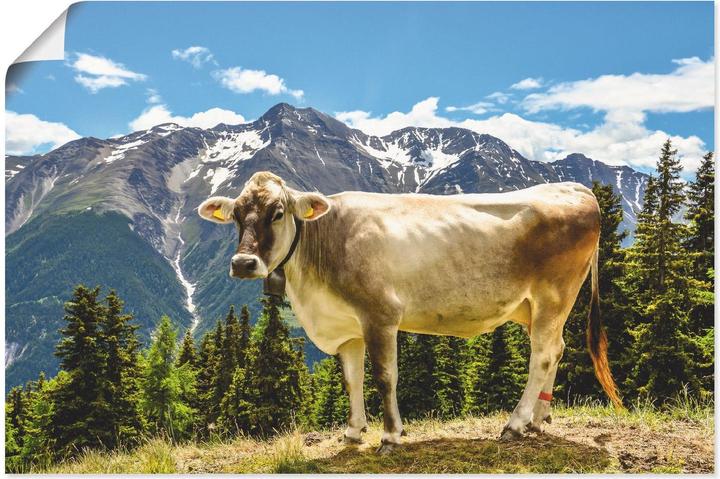 Image du produit Artland Tableau sur toile Vache de montagne dans les Alpes en été T1NN (60 x 40 cm)