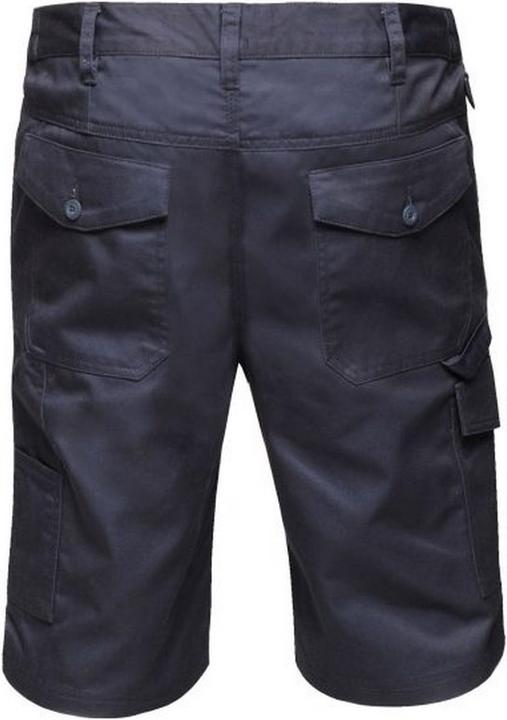 Actual product image Regatta Pro CargoShorts (42 E)