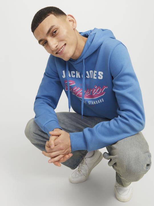 Image du produit Jack & Jones JJELOGO SWEAT HOOD 2 COL 24/25 NOOS (XS)