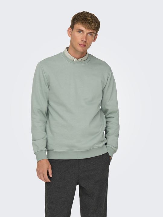 Produktbild Only & Sons Onsconnor Reg Crew Neck Sweat Noos (L)