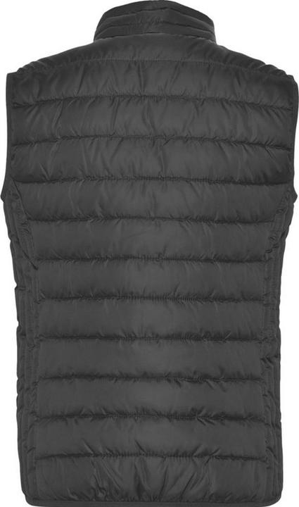 Immagine prodotto Alpinia Oslo Gilet Imbottito Isolato Donna (S)