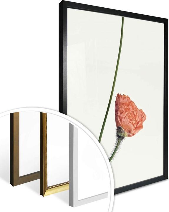 Produktbild Trenddeko Die rote Blüte 02 (30 x 40 cm)