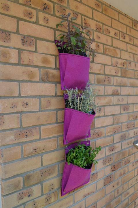 Produktbild VegTrug Living Wall