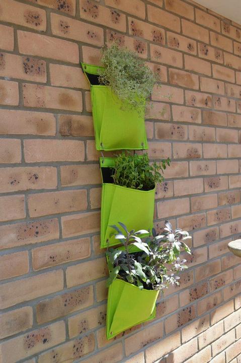 Image du produit VegTrug Mur vivant