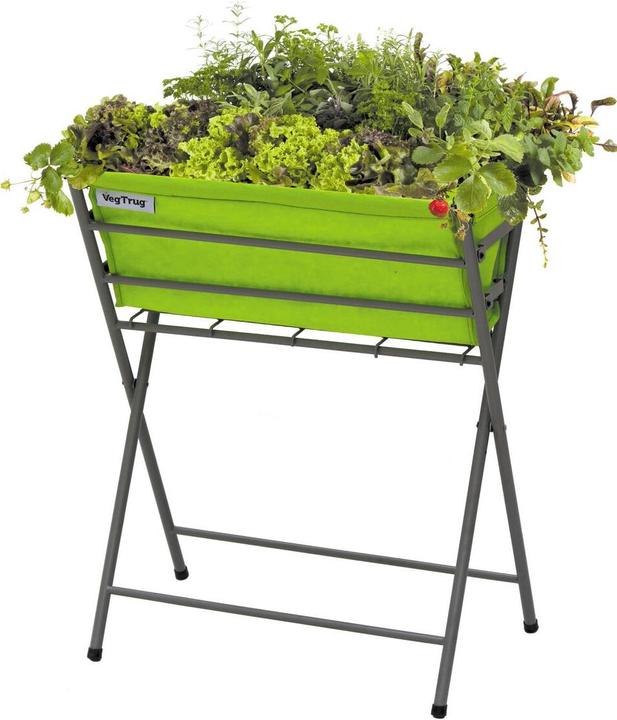 VegTrug Poppy