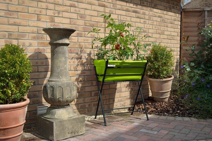Actual product image VegTrug Poppy