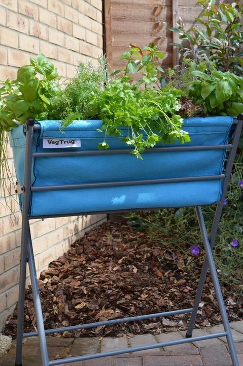 Actual product image VegTrug Poppy