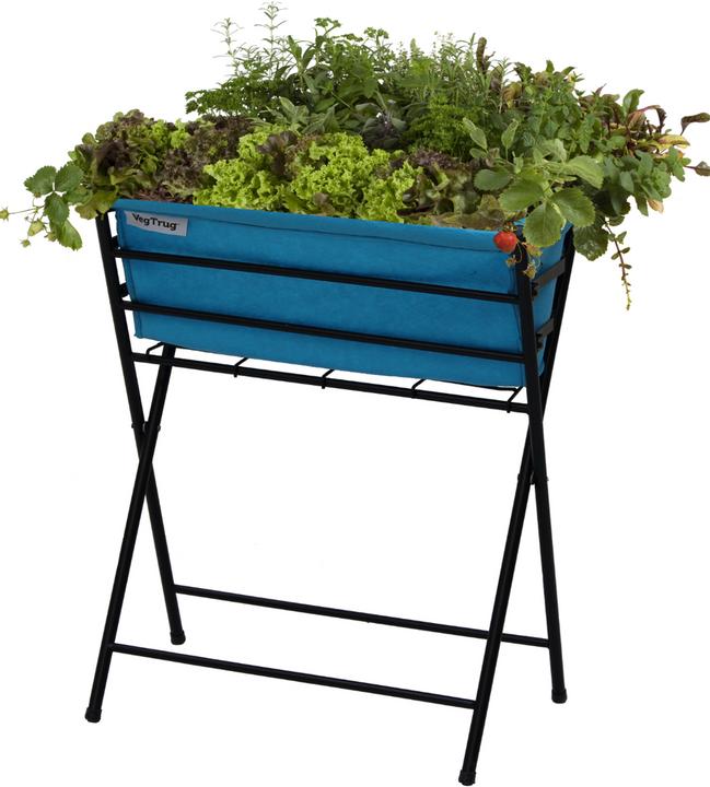 VegTrug Poppy
