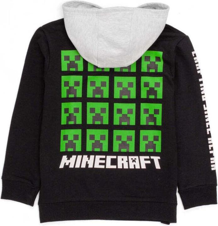 Actual product image Minecraft Boys hoodie (134)