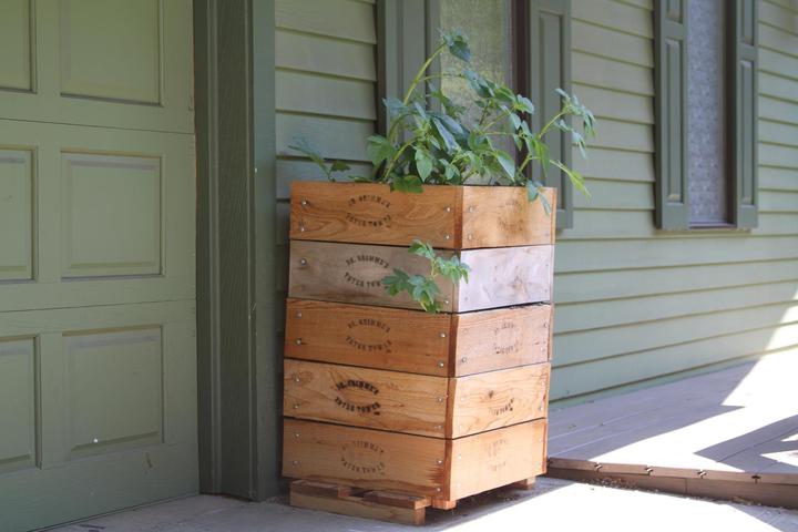 Colibri Potato mini raised bed