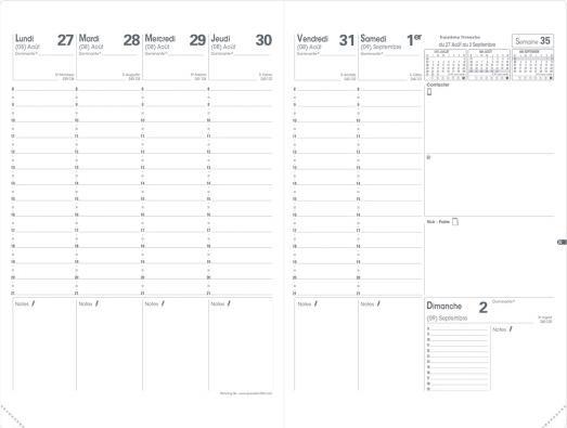 Produktbild Quo Vadis Agenda "Planning SD" 2022/2023, Club, bronze (18 x 24 cm, Französisch)