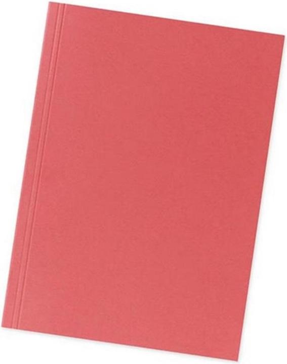 Falken Chemises en carton, rouge (A4, 100 x)