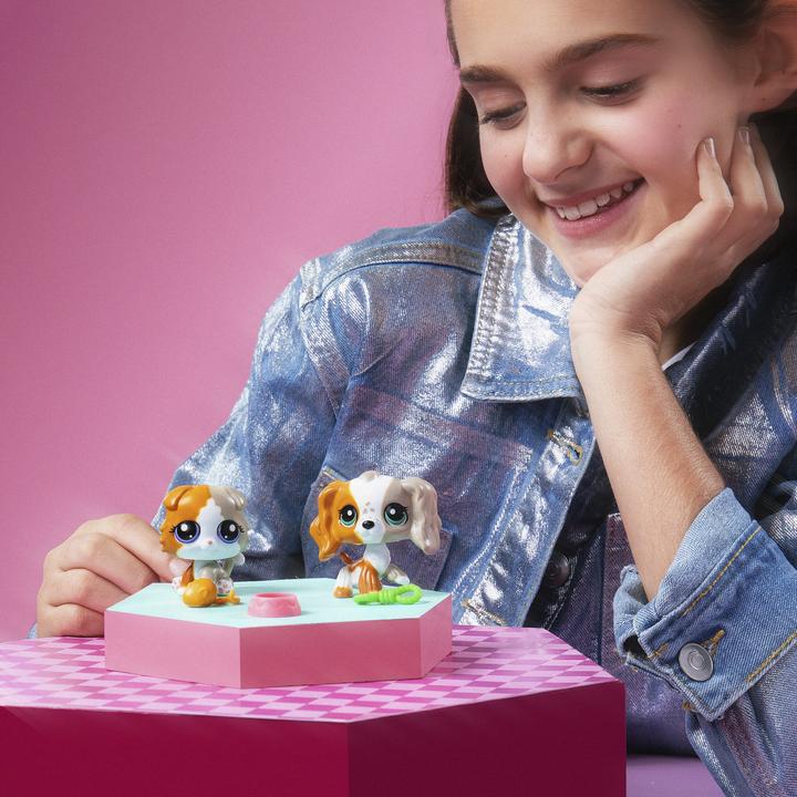 Actual product image Littlest Pet Shop - Pet Pair Ass CDU - (00623)